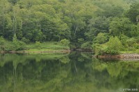 /album/%e5%a4%8f/a3-4-jpg/